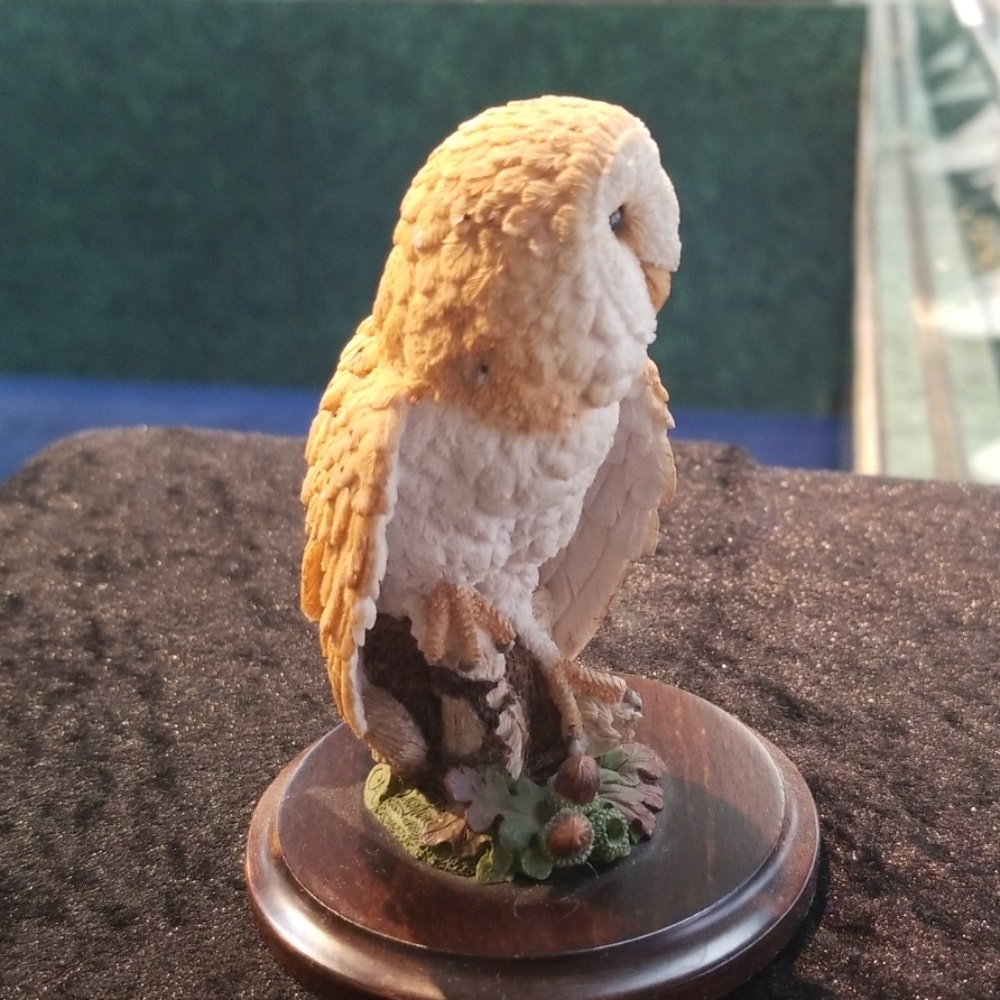 Barn Owl - Picture 2 of 4